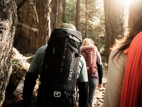 Eine Gruppe wandert ausgestattet mit Wanderbekleidung von Ortovox durch einen Wald