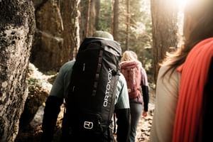 Eine Gruppe wandert ausgestattet mit Wanderbekleidung von Ortovox durch einen Wald