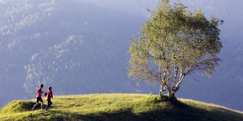 Ein Paar joggt auf einem Hügel neben einer alten Birke in Serfaus Berglandschaft