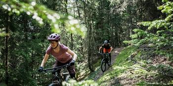 Eine Frau fährt auf einem Fully MTB von Scott einen Trail durch den Wald über Baumwurzeln umgeben von Bäumen hinunter