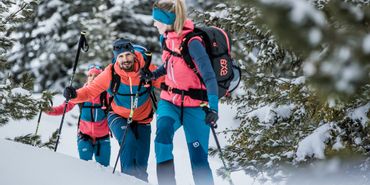 Eine Gruppe von Freeridern gehen durch einen tiefverschneiten Wald eine Tour den Berg hinauf