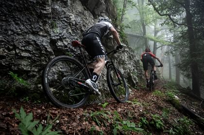 Zwei Männer fahren mit Fully Mountainbikes von Scott einen Trail durch den Wald über Baumwurzeln in dreckiger Bikebekleidung hinunter