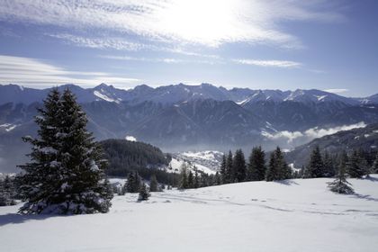 Winterliches Bergpanorama mit verschneiten Wiesen und Wäldern und Bergen. In der Mitte liegt Serfaus