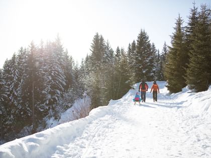 Eine Familie mit Kind spaziert mit einem Schlitten die Rodelbahn in Fiss hinauf durch einen Wald.