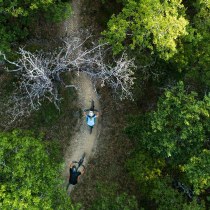 Aus der Vogelperspektive von oben fahren ein Mann und eine Frau auf Scott E-Bikes einen Trail durch einen Wald