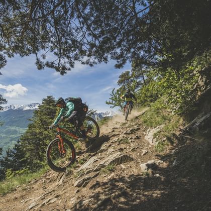 Ein Mann fährt auf einem Fully E-MTB von Scott einen Bergtrail durch den Wald hinunter