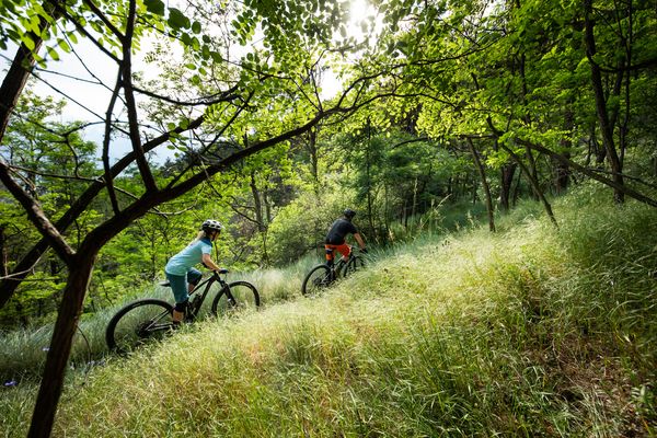 Ein Mann und eine Frau fahren auf Scott E-Bikes einen Trail in hügeliger Landschaft in einem Wald entlang